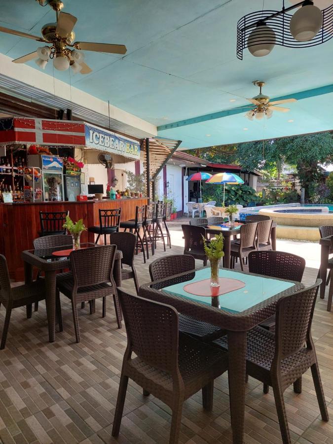 Ice Bear Bar & Tourist Inn 다우이스 외부 사진